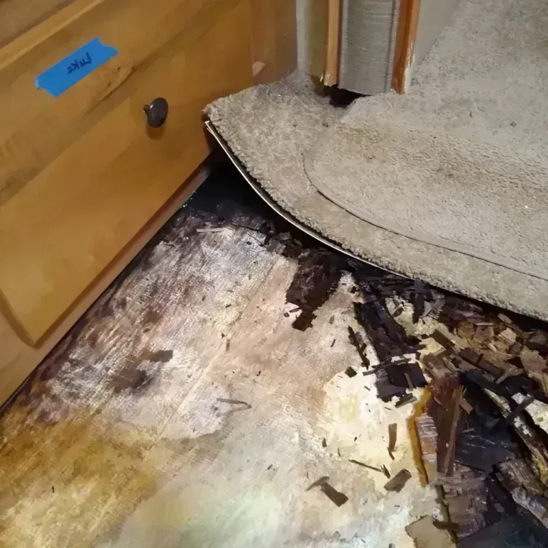 Best Wood Floor Water Damage Service in Countryside, IL